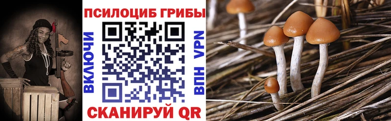 Псилоцибиновые грибы Magic Shrooms  Черногорск 